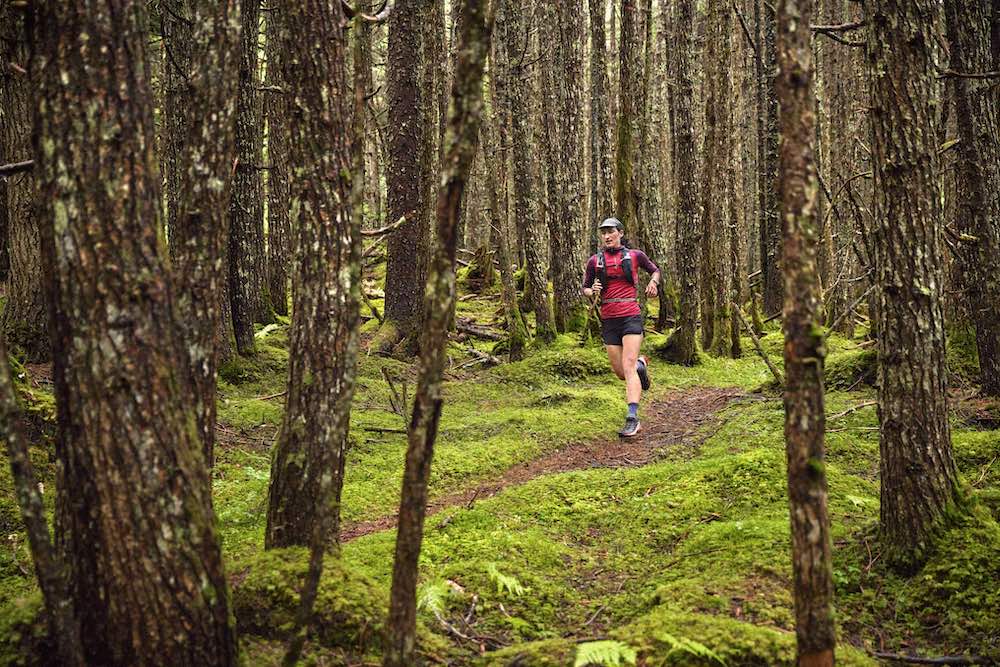 Novos recursos disponíveis para relógios e ciclocomputadores Garmin